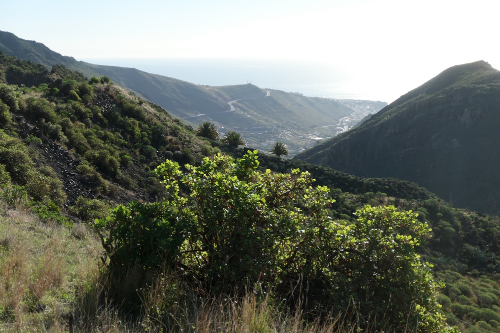 2021-12-31-San_Sebatian-La_Gomera-P1096756.JPG
